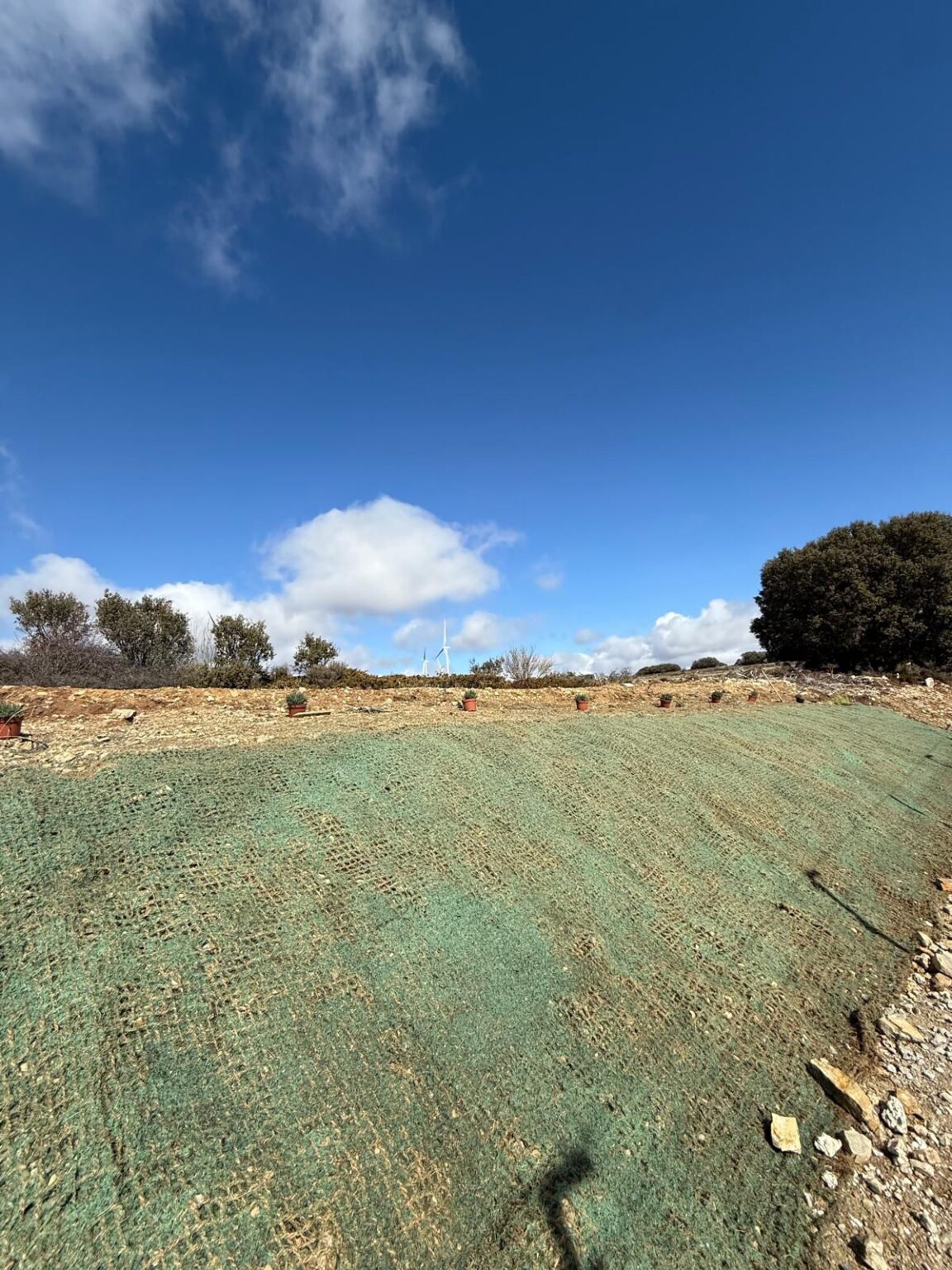 Imagen panorámica de un bosque o terreno siendo gestionado profesionalmente.