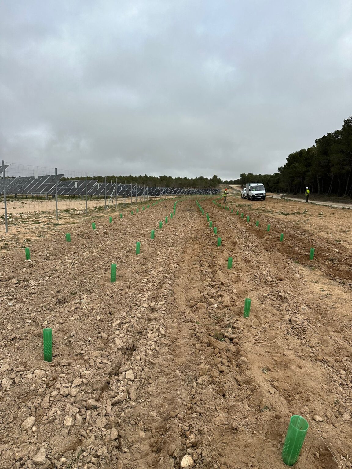 Terreno agrícola o solar en Monzón siendo desbrozado con maquinaria forestal.